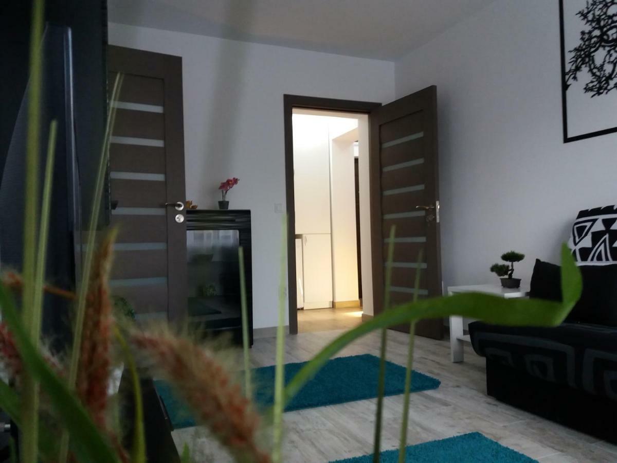 Apartament Elefant Tg. Ocna Apartamento Tîrgu Ocna Exterior foto